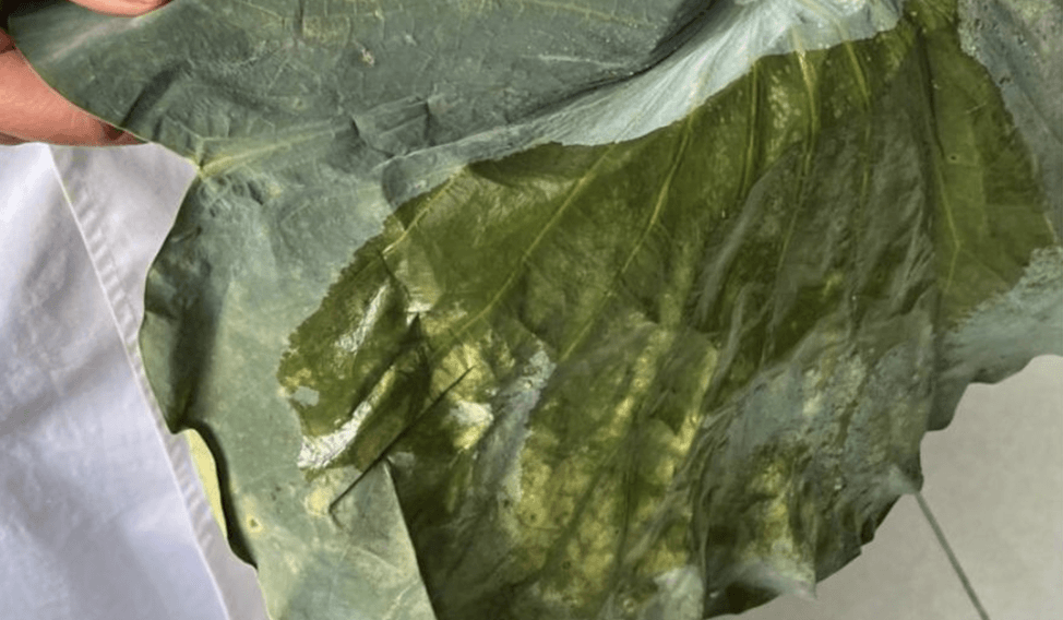 mabonlab_leveltragya_megoldasok_level_kepe